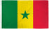 Senegal Flag 3x5ft Poly - Flags Importer