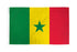 Senegal Flag 3x5ft Poly - Flags Importer