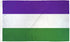 Suffragette Flag 3x5ft Poly - Flags Importer