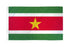 Suriname Flag 2x3ft Poly - Flags Importer