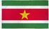 Suriname Flag 2x3ft Poly - Flags Importer