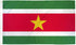 Suriname Flag 2x3ft Poly - Flags Importer