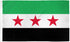 Syrian (Republic) Flag 3x5ft Poly - Flags Importer