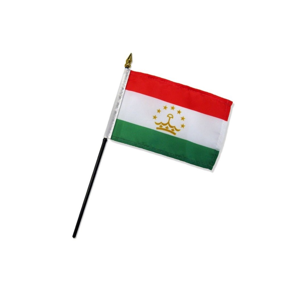 Tajikistan 4x6in Stick Flag - Flags Importer