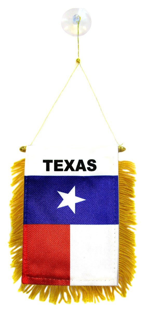 Texas Mini Banner - Flags Importer