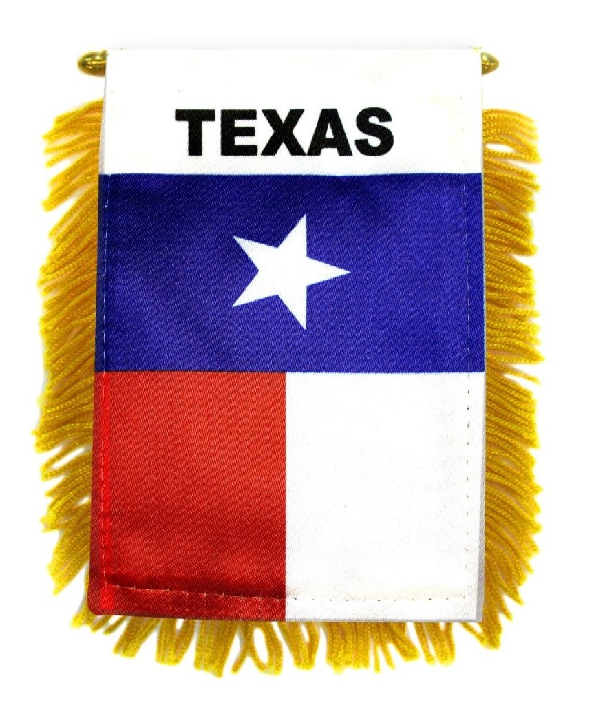 Texas Mini Banner - Flags Importer