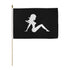 The Lady 12x18in Stick Flag - Flags Importer