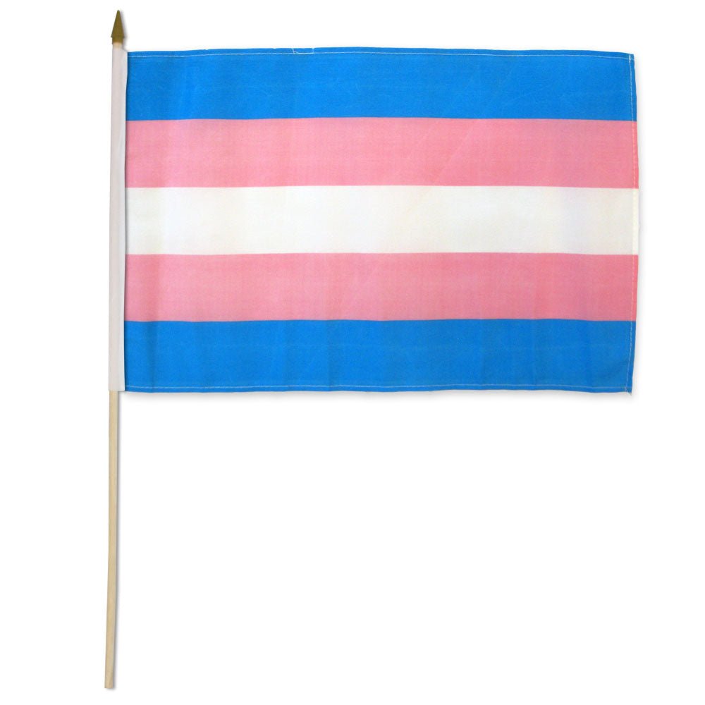 Transgender 12x18in Stick Flag - Flags Importer