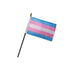 Transgender 4x6in Stick Flag - Flags Importer