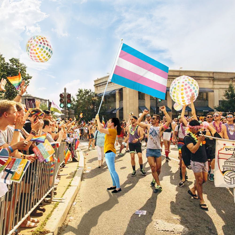 Transgender Flag 3x5ft Poly - Flags Importer