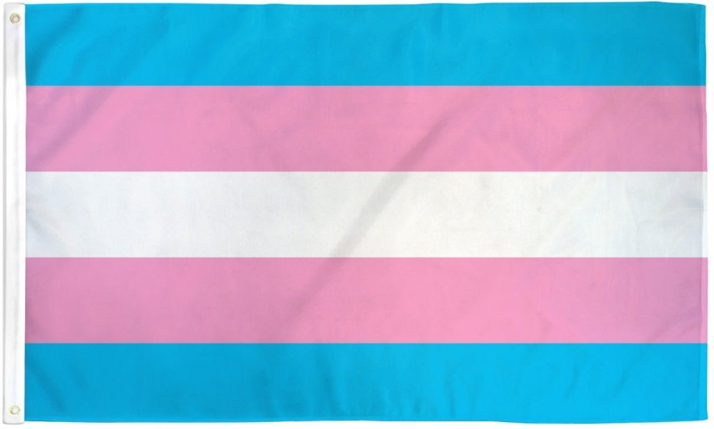 Transgender Flag 3x5ft Poly - Flags Importer