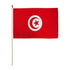 Tunisia 12x18in Stick Flag - Flags Importer