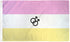 Twink Pride Flag 3x5ft Poly - Flags Importer