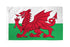 Wales Flag 3x5ft Poly - Flags Importer