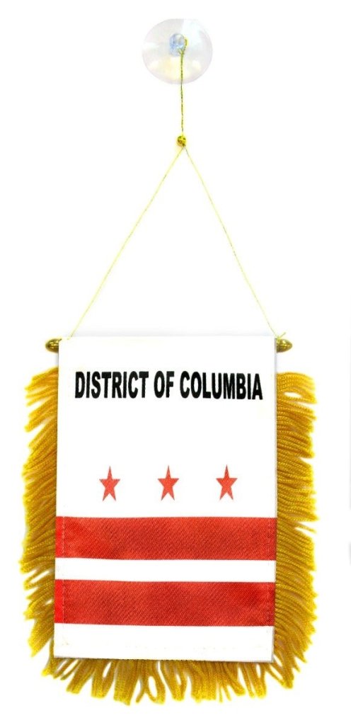 Washington DC Mini Banner - Flags Importer