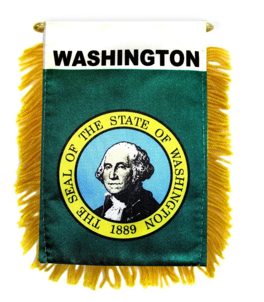 Washington Mini Banner - Flags Importer