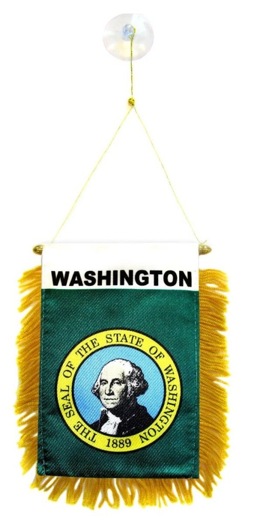 Washington Mini Banner - Flags Importer