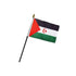 Western Sahara 4x6in Stick Flag - Flags Importer