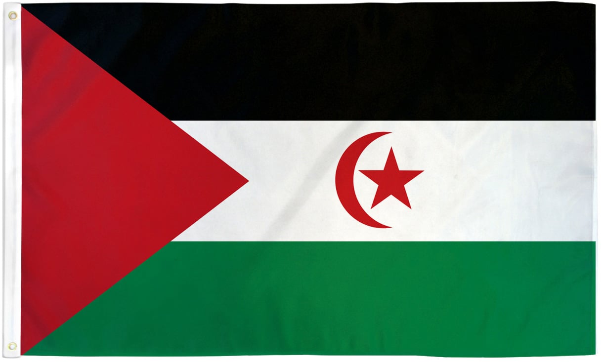 Western Sahara Flag 2x3ft Poly - Flags Importer