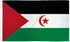 Western Sahara Flag 3x5ft Poly - Flags Importer