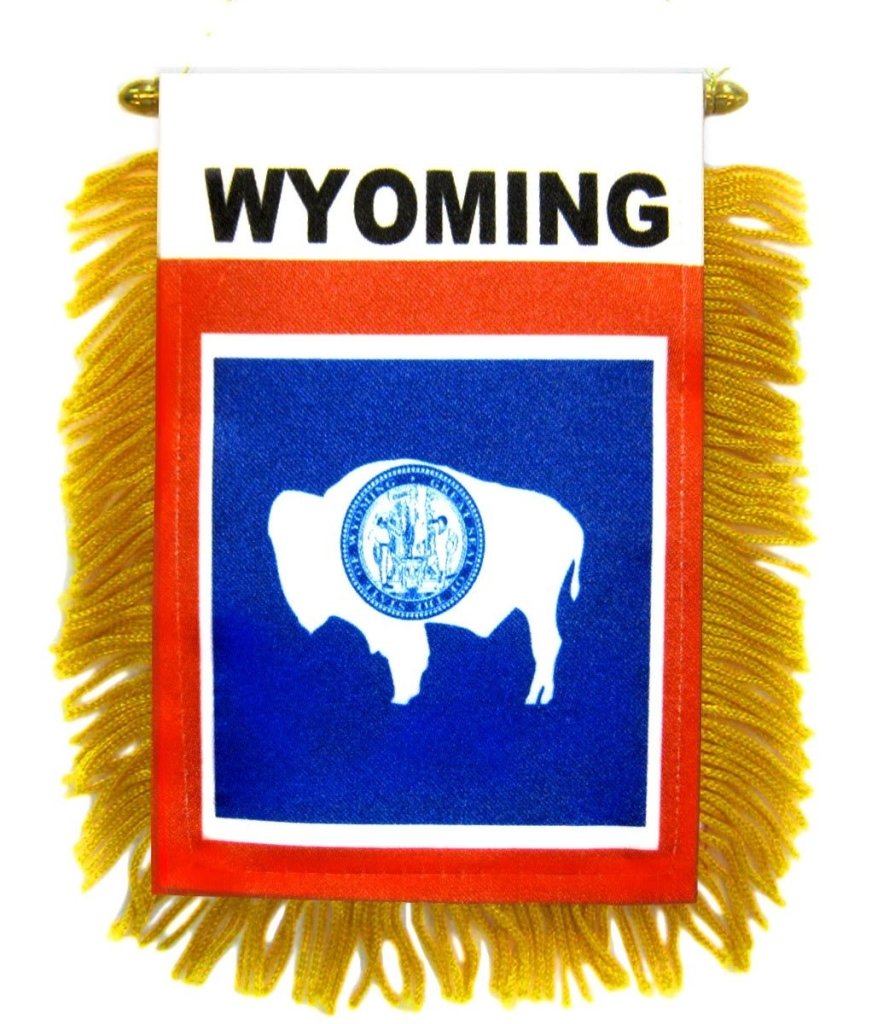 Wyoming Mini Banner - Flags Importer