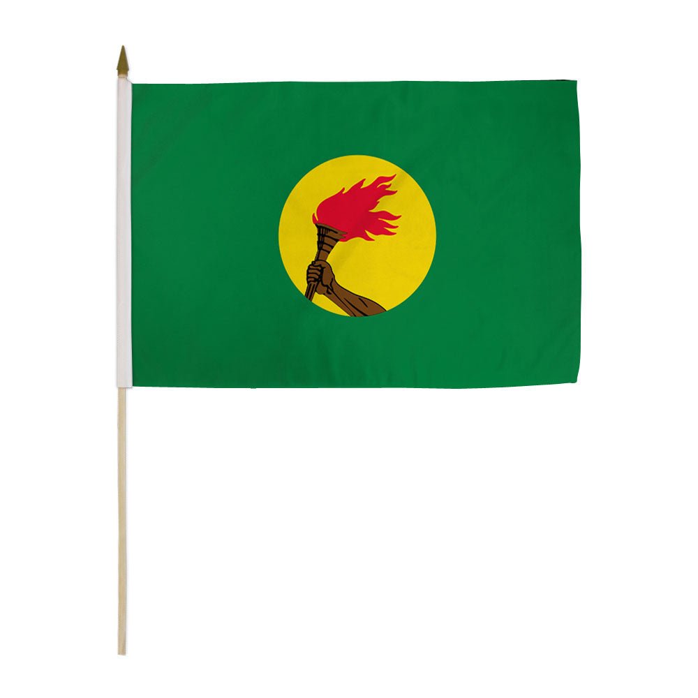 Zaire 12x18in Stick Flag - Flags Importer