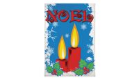 Noel Garden Printed Polyester Garden Flag 28in by 40in